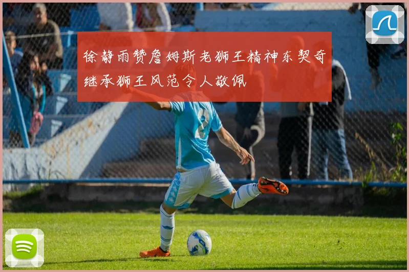 徐静雨赞詹姆斯老狮王精神东契奇继承狮王风范令人敬佩