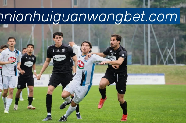 多媒体互动体验